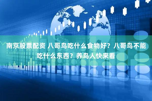 南京股票配资 八哥鸟吃什么食物好？八哥鸟不能吃什么东西？养鸟人快来看